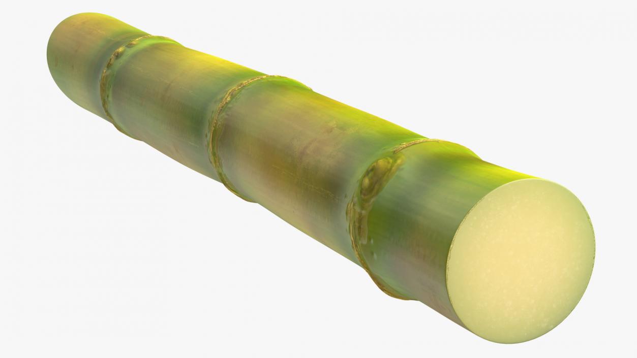 3D model Sugarcane Collection