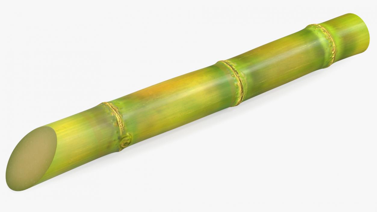 3D model Sugarcane Collection