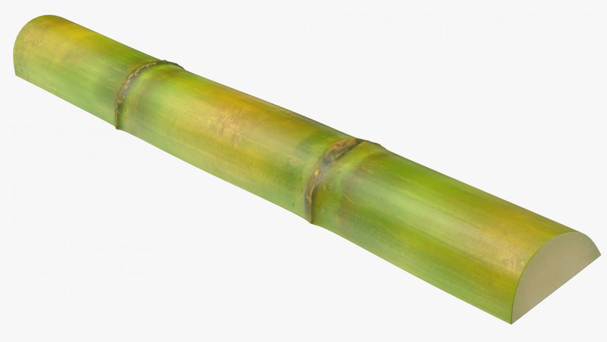 3D model Sugarcane Collection