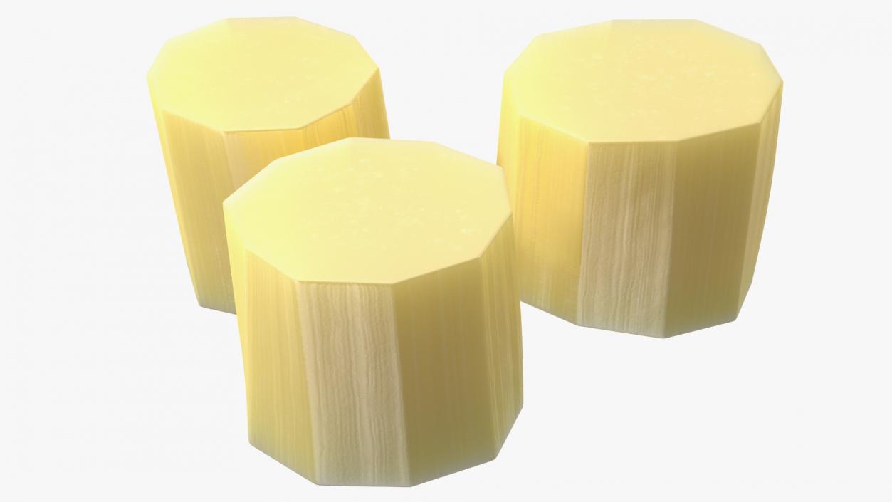 3D model Sugarcane Collection