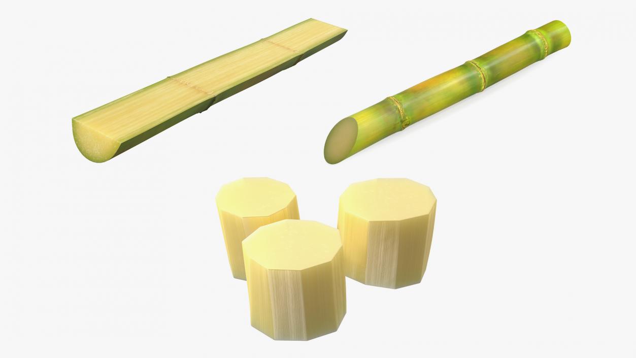 3D model Sugarcane Collection