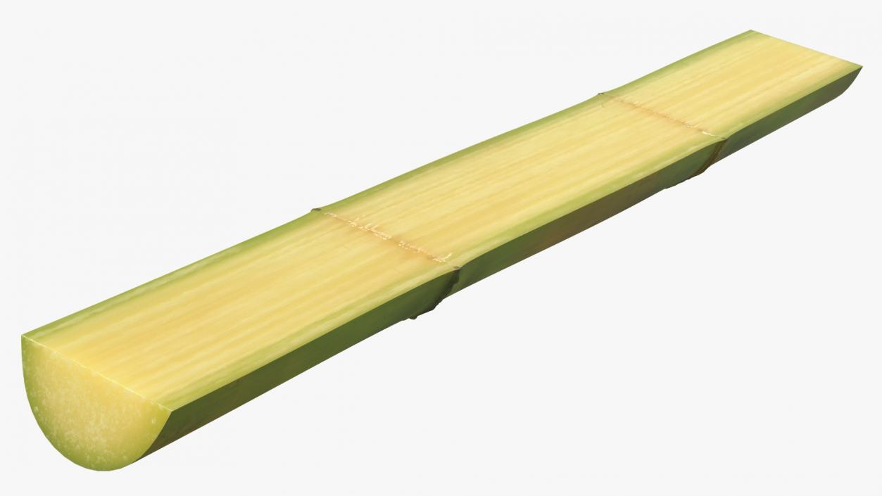 3D model Sugarcane Collection