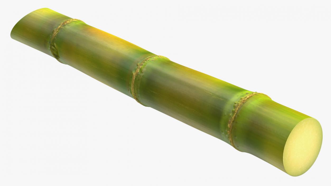 3D model Sugarcane Collection