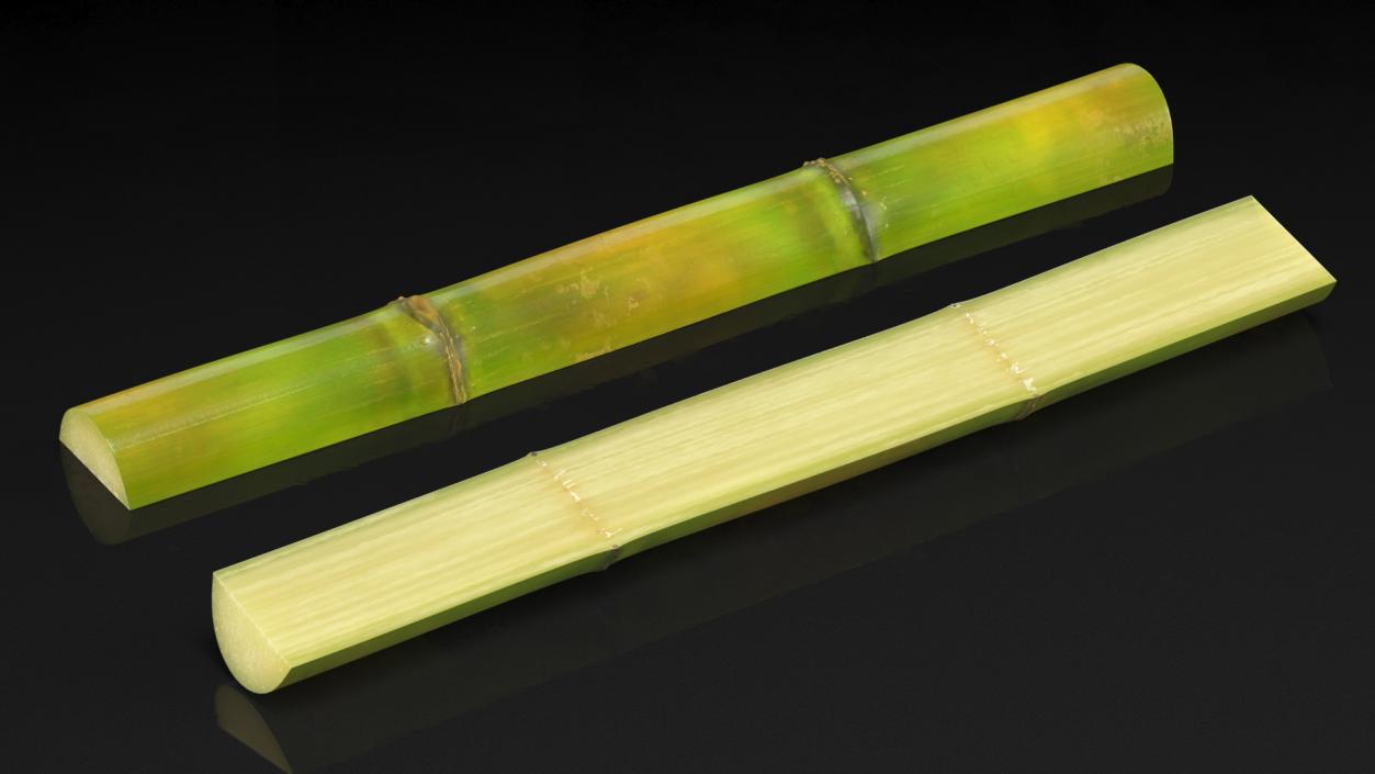 3D model Sugarcane Collection