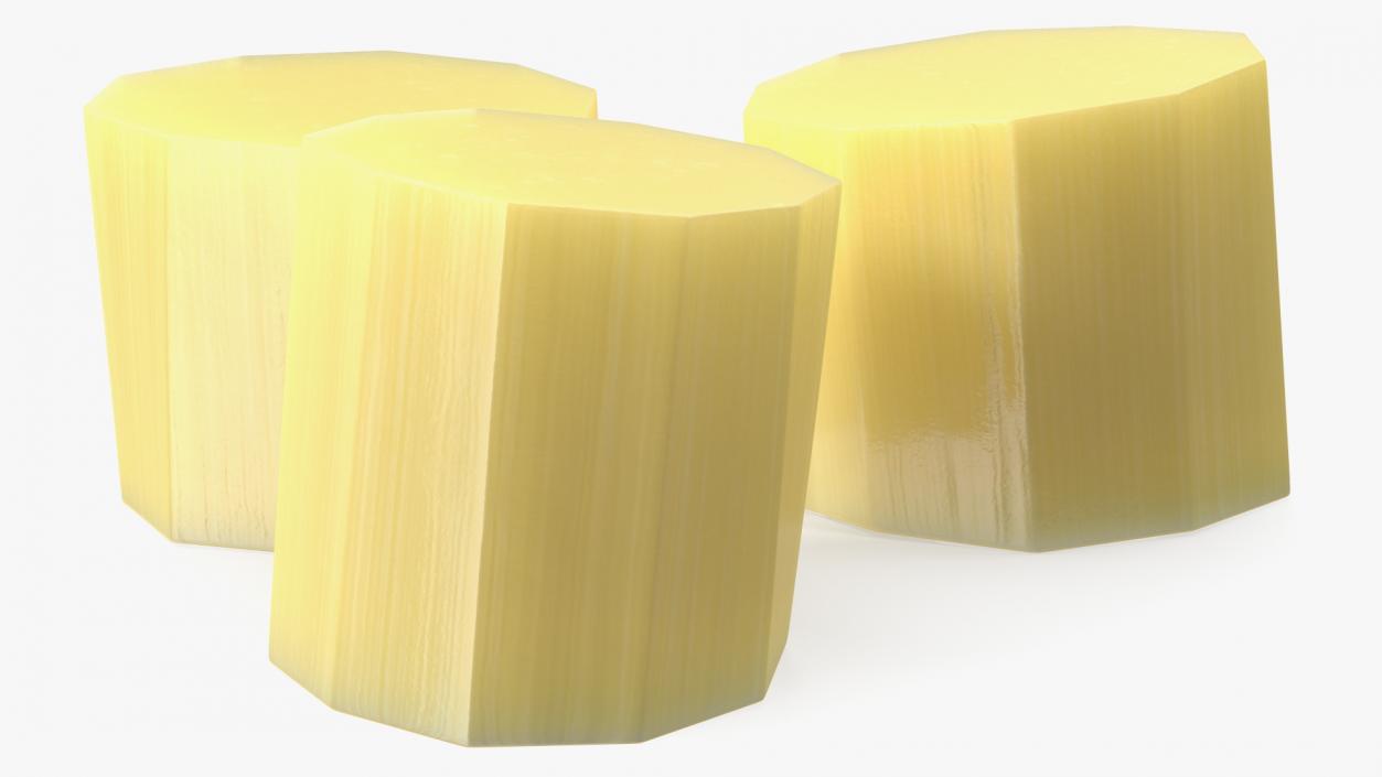 3D model Sugarcane Collection