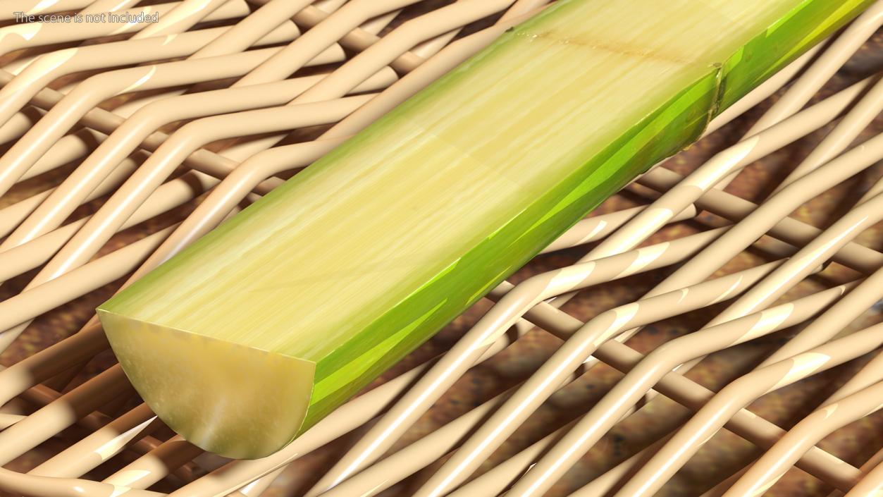 3D model Sugarcane Collection