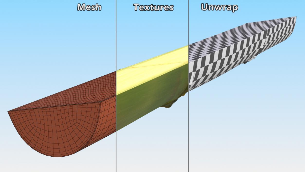 3D model Sugarcane Collection