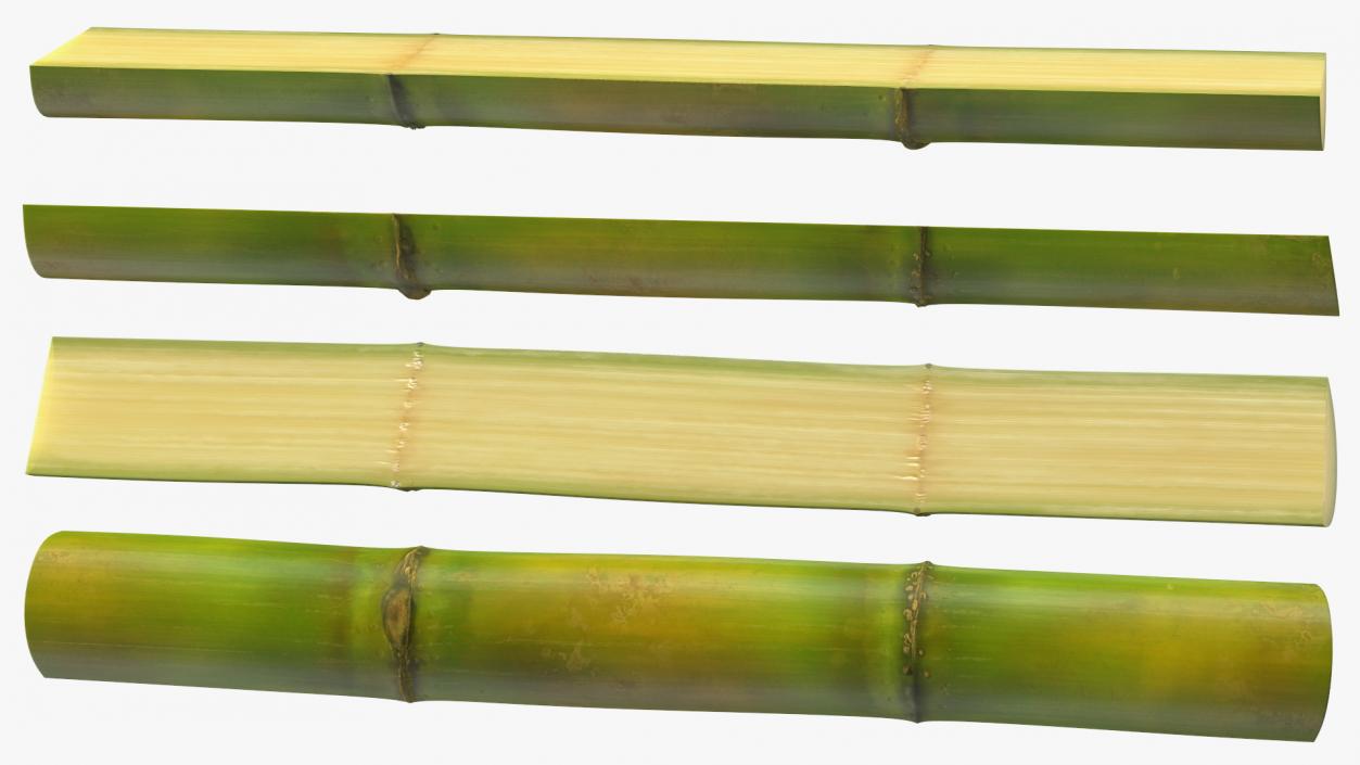 3D model Sugarcane Collection