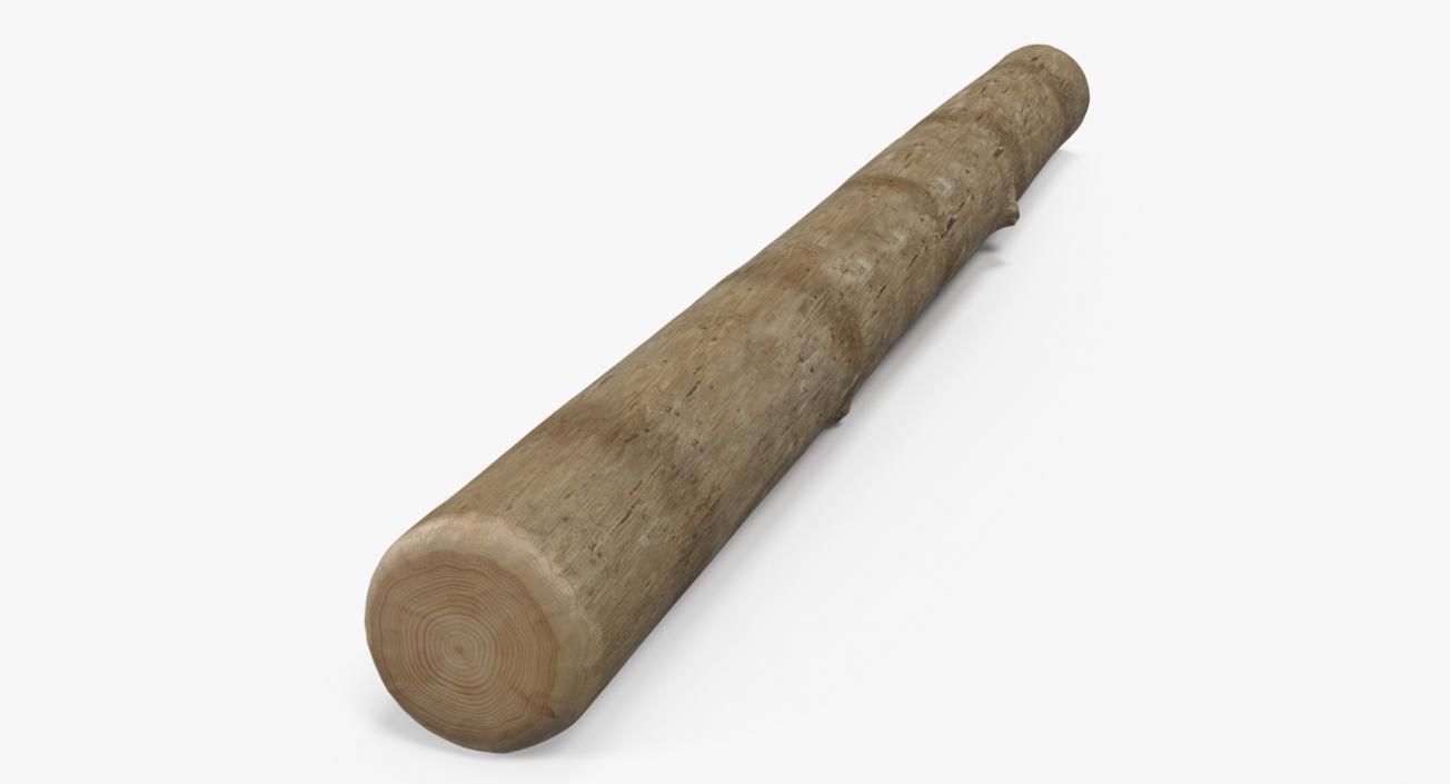 3D Round Wooden Log