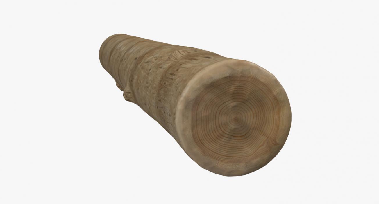 3D Round Wooden Log