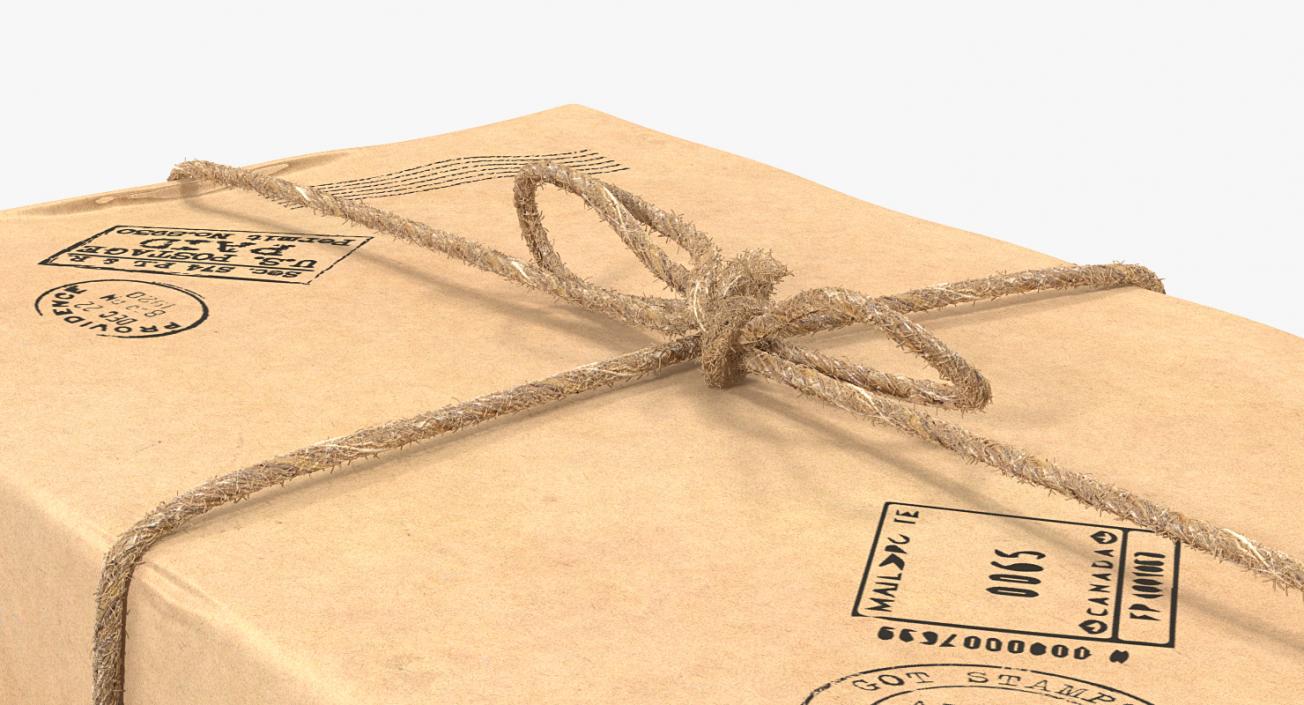 3D Brown Paper Mail Package Fur model