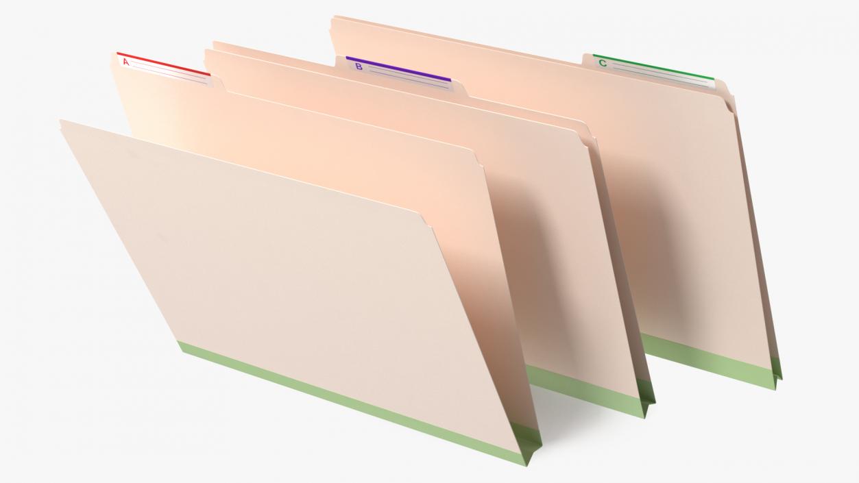 Cardboard File Folder Biege 3D