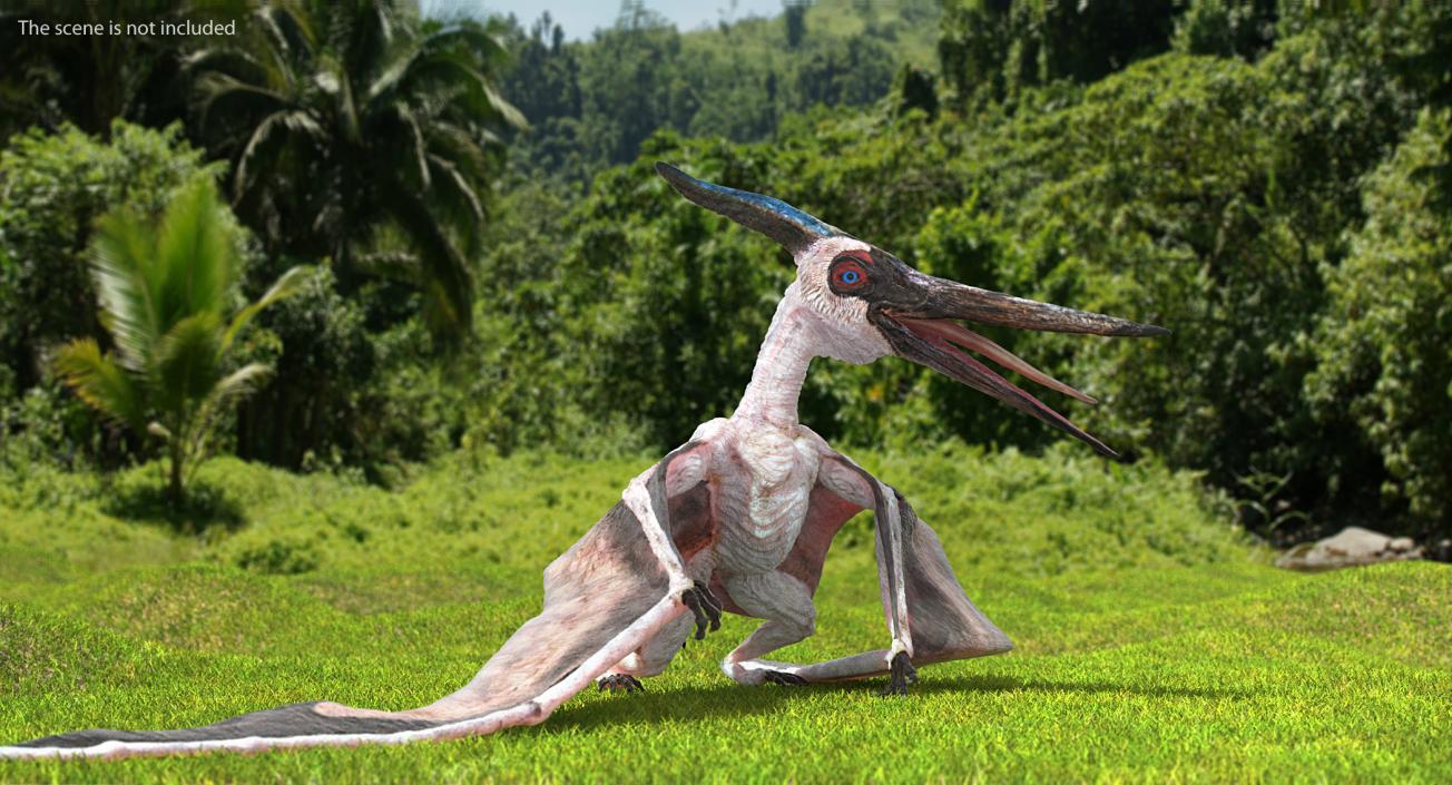 3D model Pterosaur Pteranodon White Standing Pose