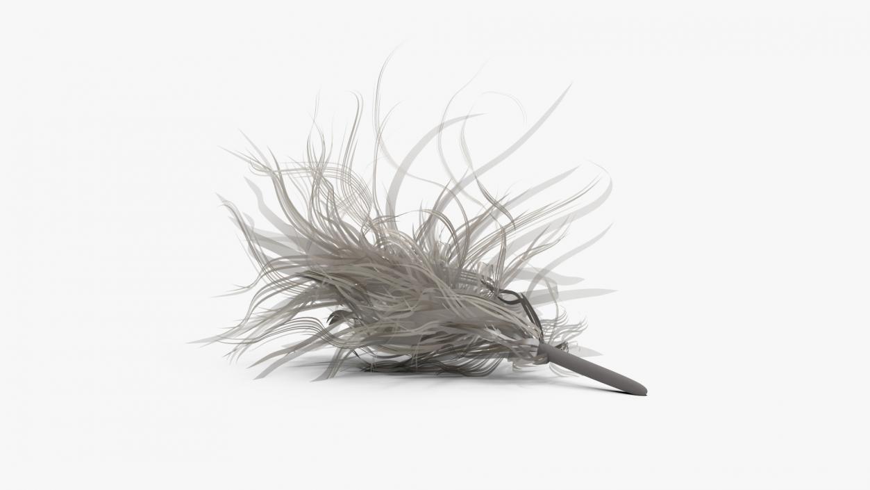 3D model Canada Goose Feather