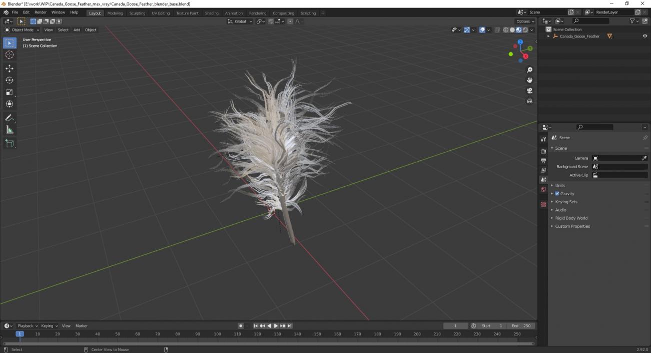 3D model Canada Goose Feather