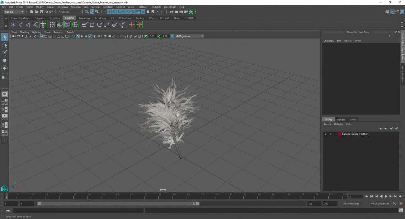 3D model Canada Goose Feather