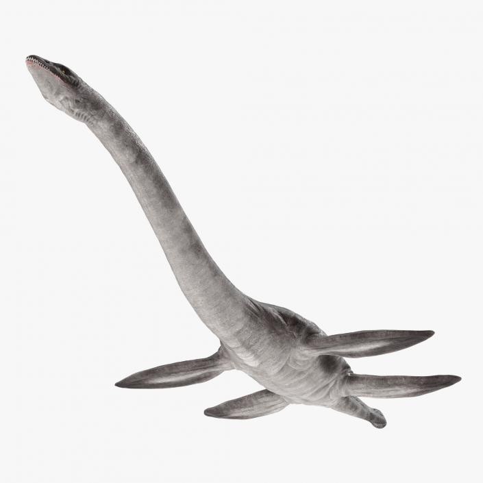 3D Plesiosauria Marine Reptile Dinosaur