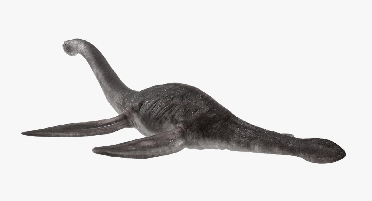 3D Plesiosauria Marine Reptile Dinosaur