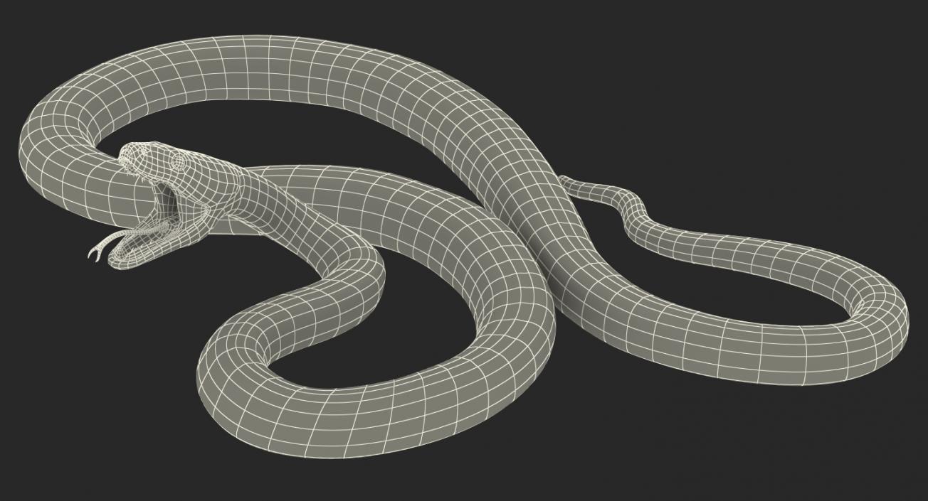 Snakes 3D Models Collection 3 3D model