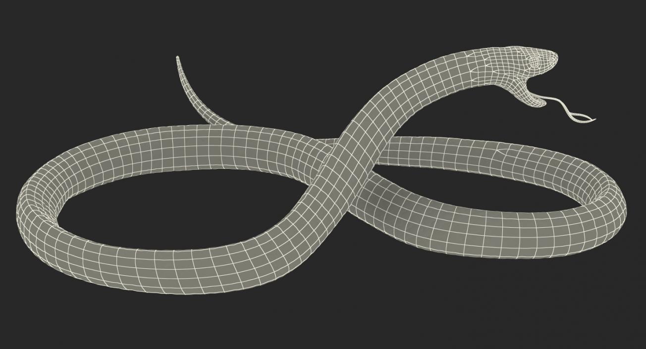 Snakes 3D Models Collection 3 3D model