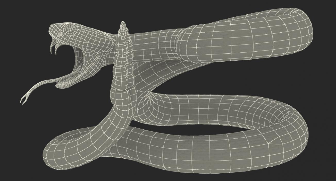 Snakes 3D Models Collection 3 3D model