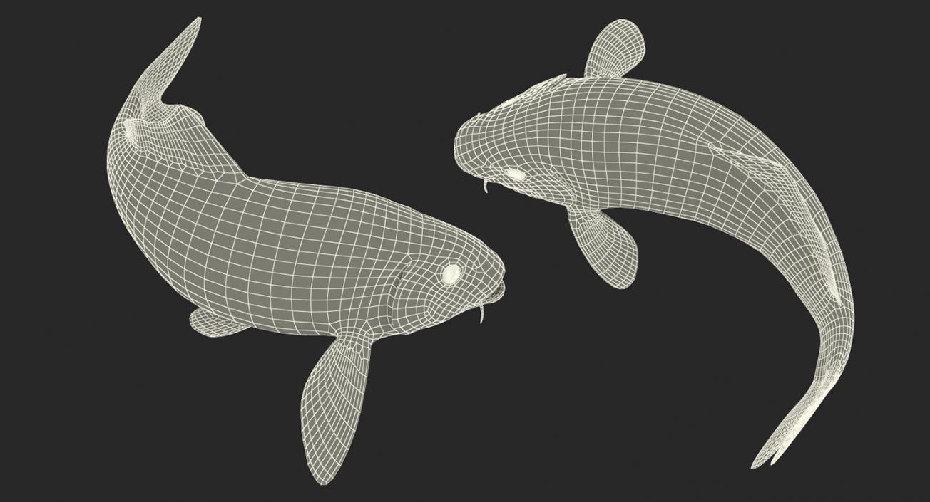 Harivake Koi Fish Rigged 3D model