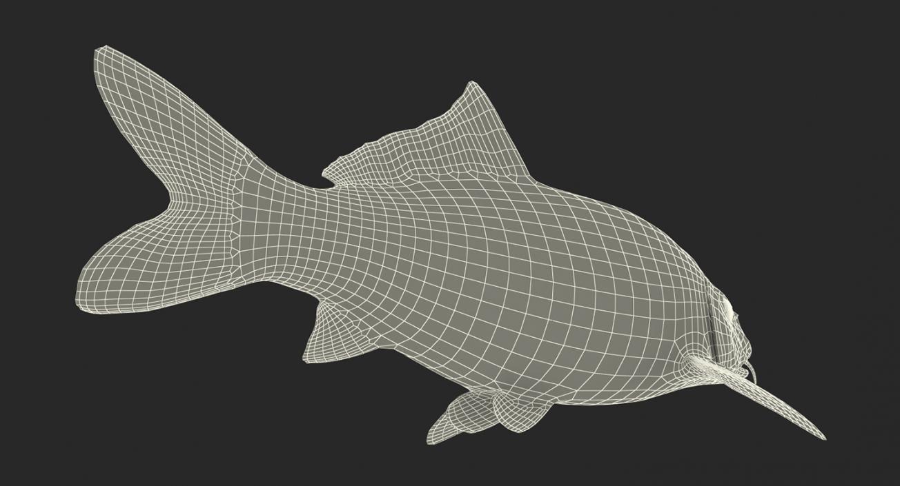 Harivake Koi Fish Rigged 3D model