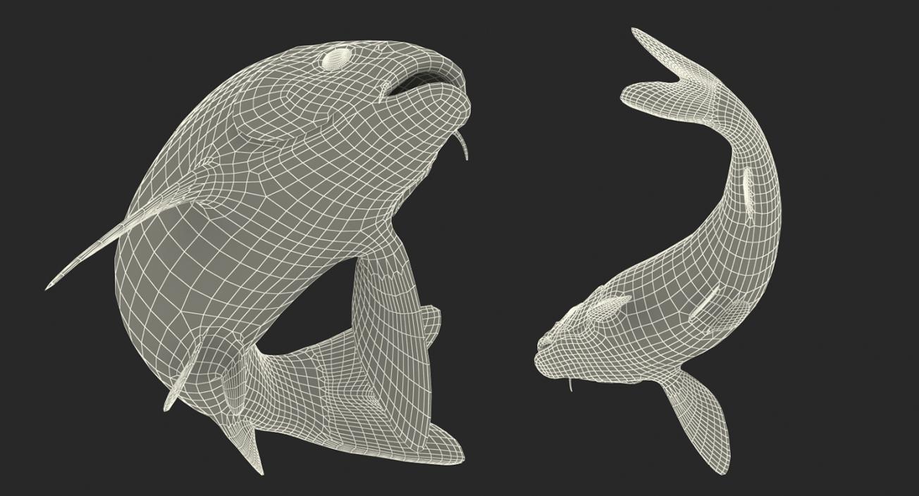 Harivake Koi Fish Rigged 3D model