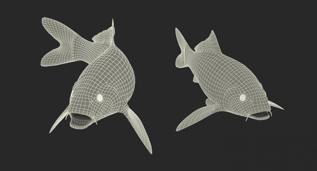 Harivake Koi Fish Rigged 3D model