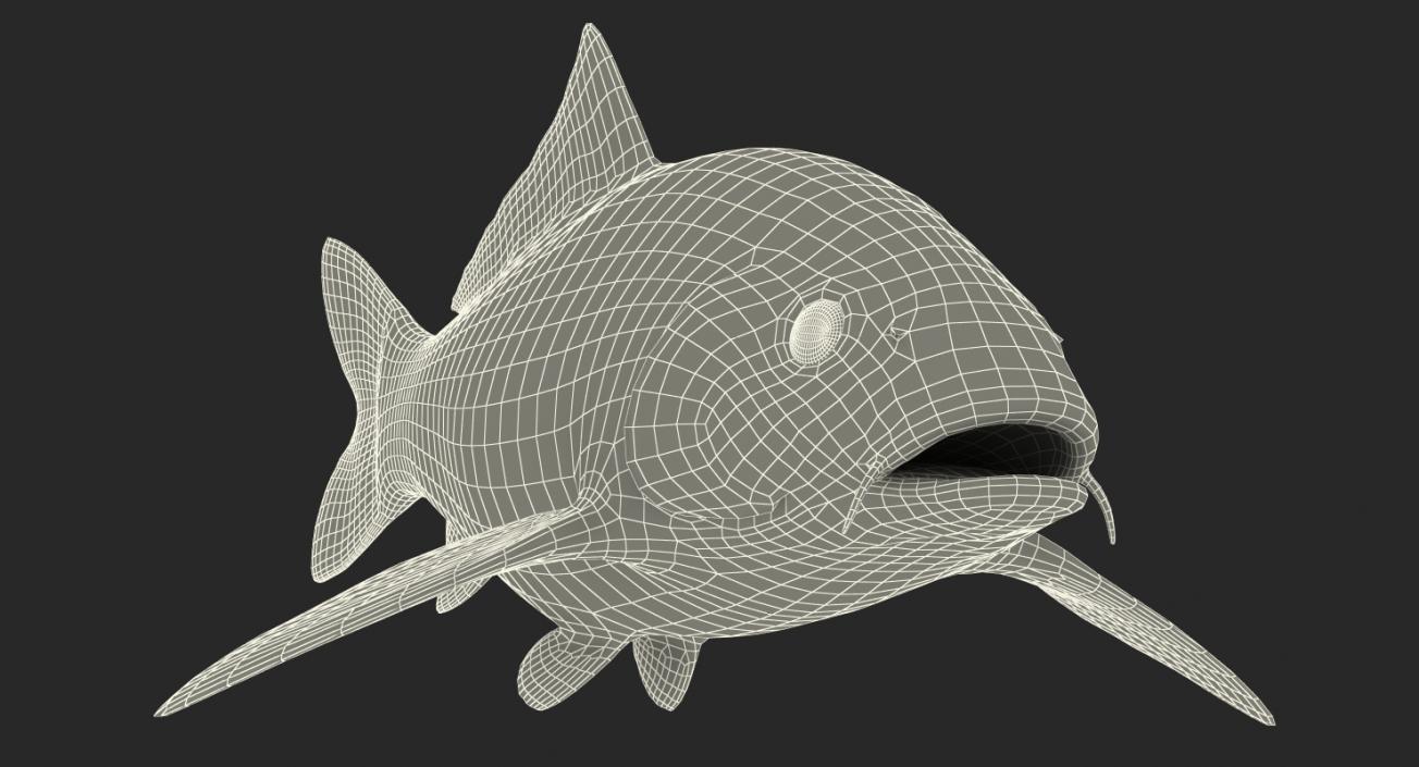 Harivake Koi Fish Rigged 3D model