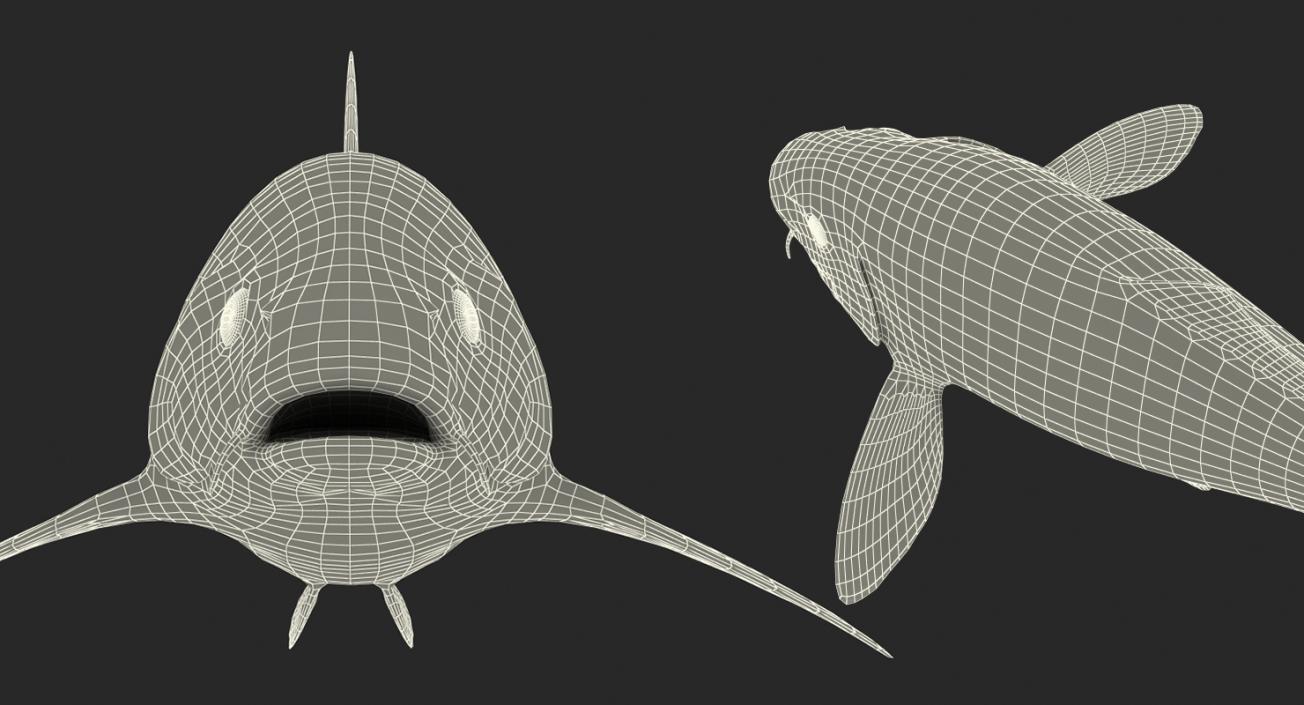 Harivake Koi Fish Rigged 3D model