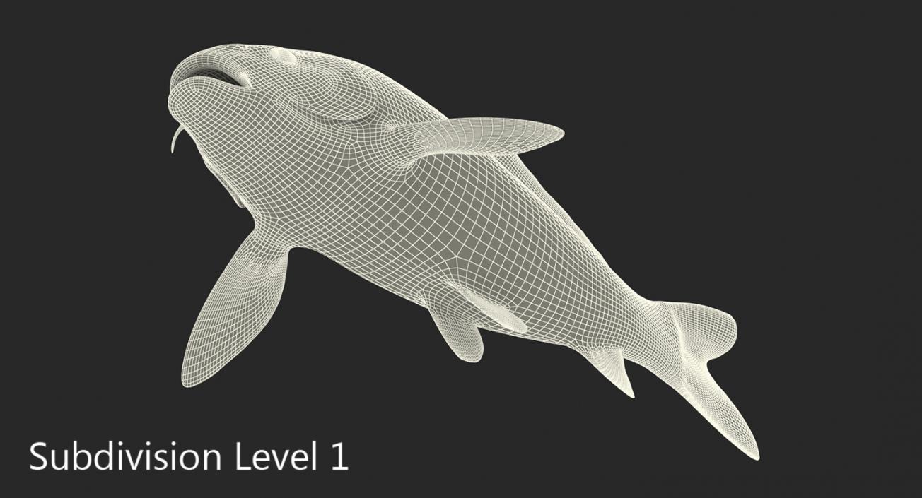 Harivake Koi Fish Rigged 3D model