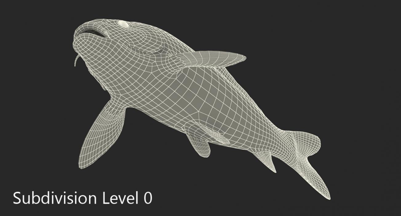 Harivake Koi Fish Rigged 3D model