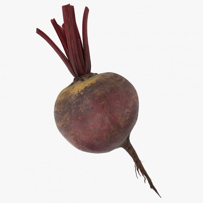 3D model Beetroot