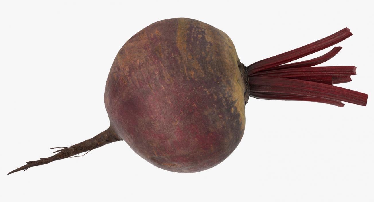 3D model Beetroot