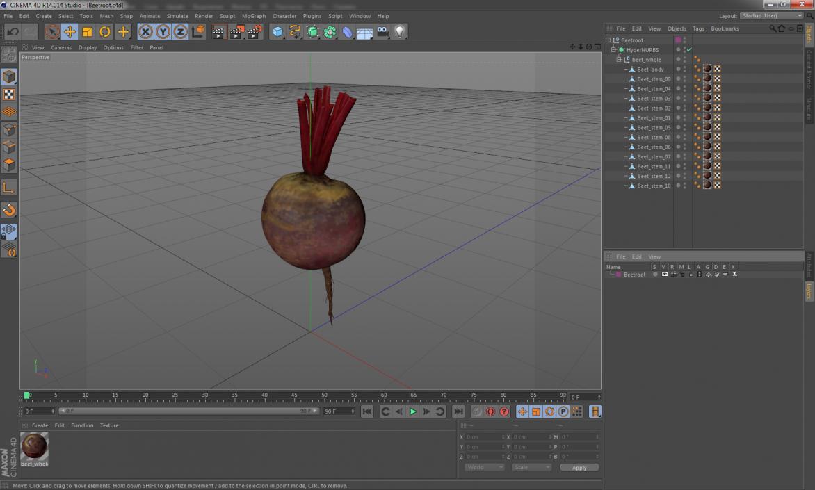 3D model Beetroot