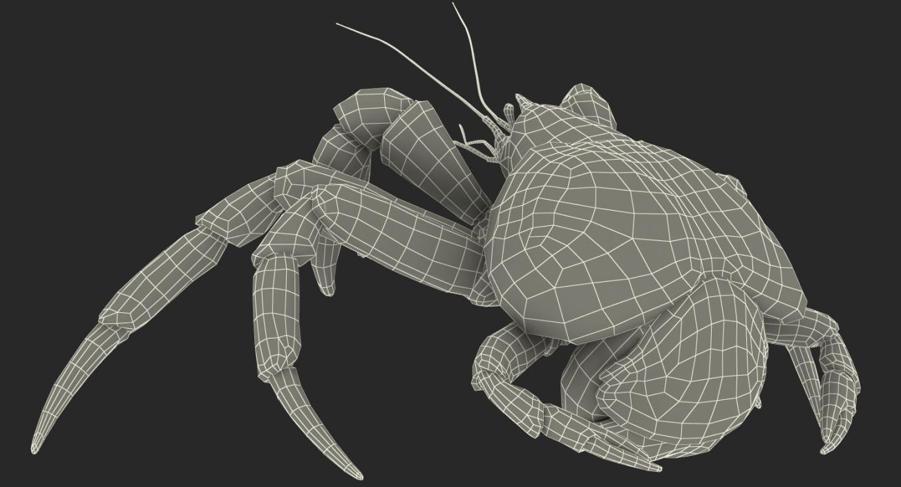 Robber Crab Walking Pose 3D model