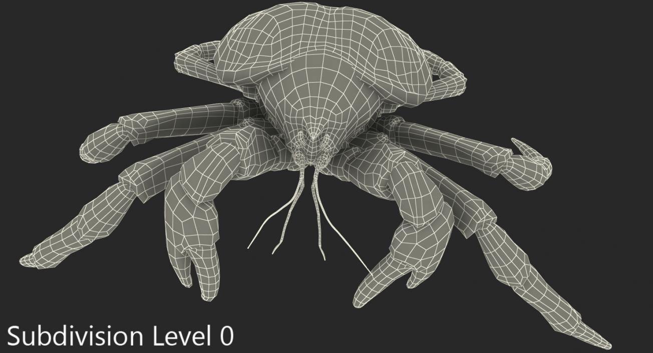 Robber Crab Walking Pose 3D model