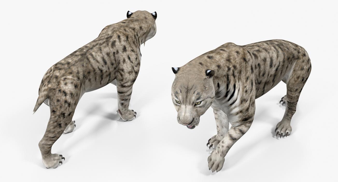 3D model Arctic Saber Tooth Cat Walking Pose