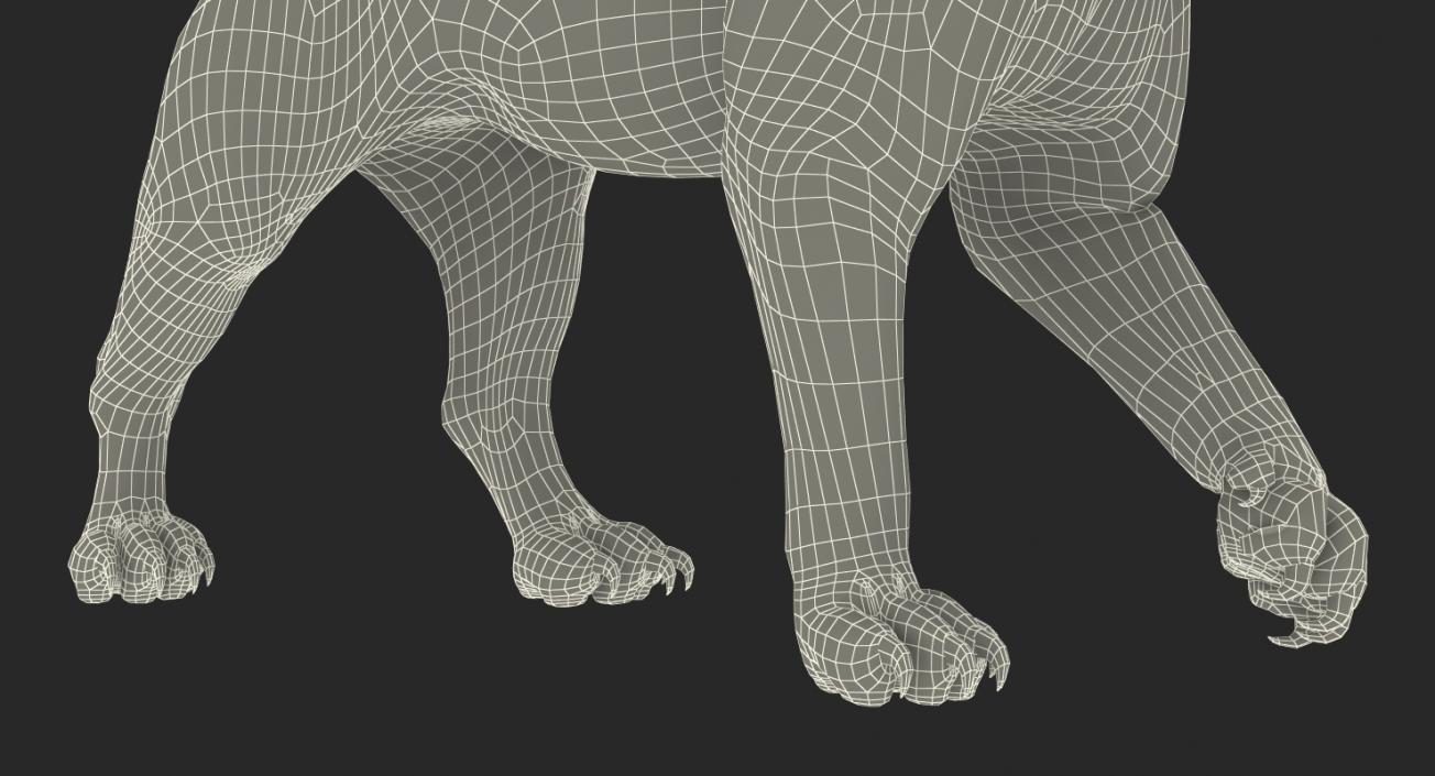 3D model Arctic Saber Tooth Cat Walking Pose