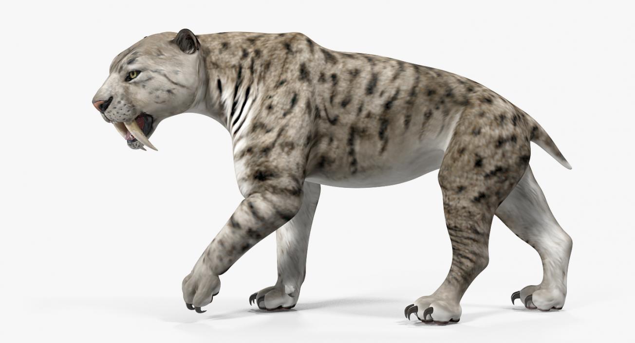 3D model Arctic Saber Tooth Cat Walking Pose