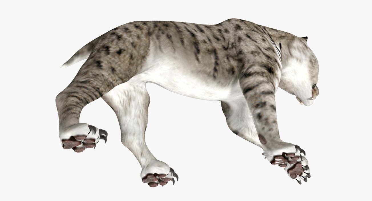 3D model Arctic Saber Tooth Cat Walking Pose