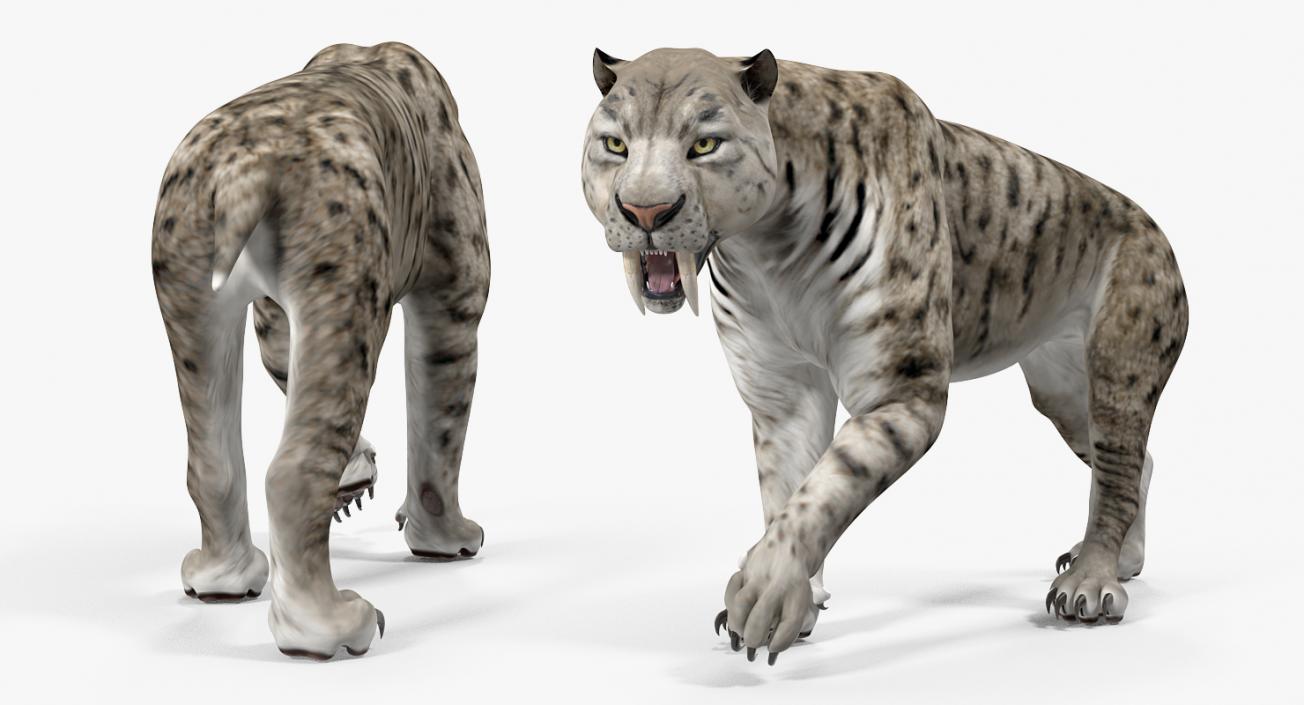 3D model Arctic Saber Tooth Cat Walking Pose