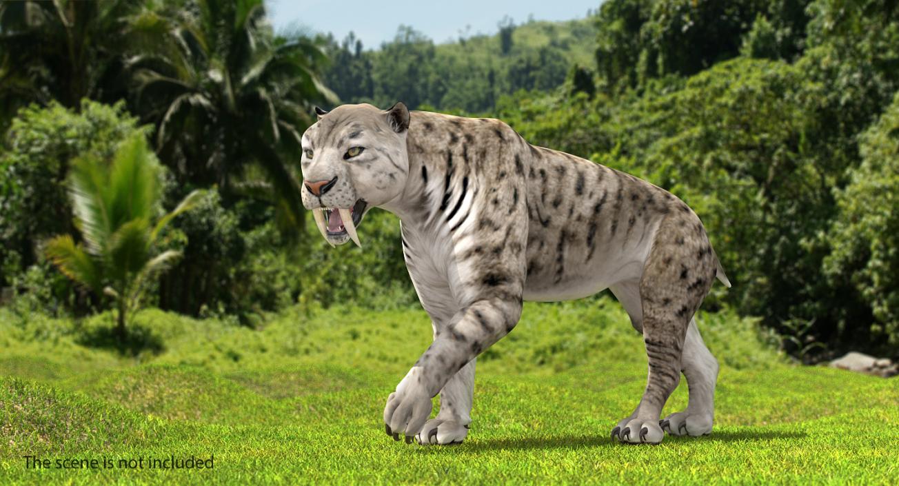 3D model Arctic Saber Tooth Cat Walking Pose