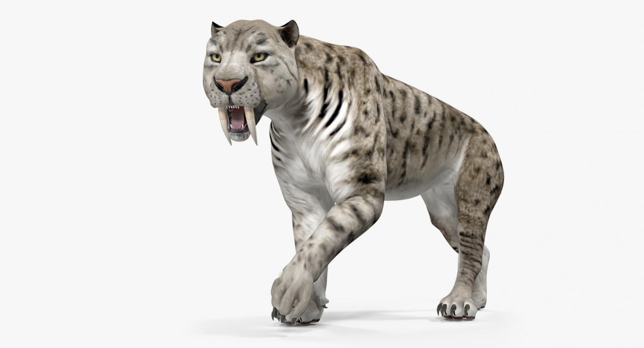 3D model Arctic Saber Tooth Cat Walking Pose