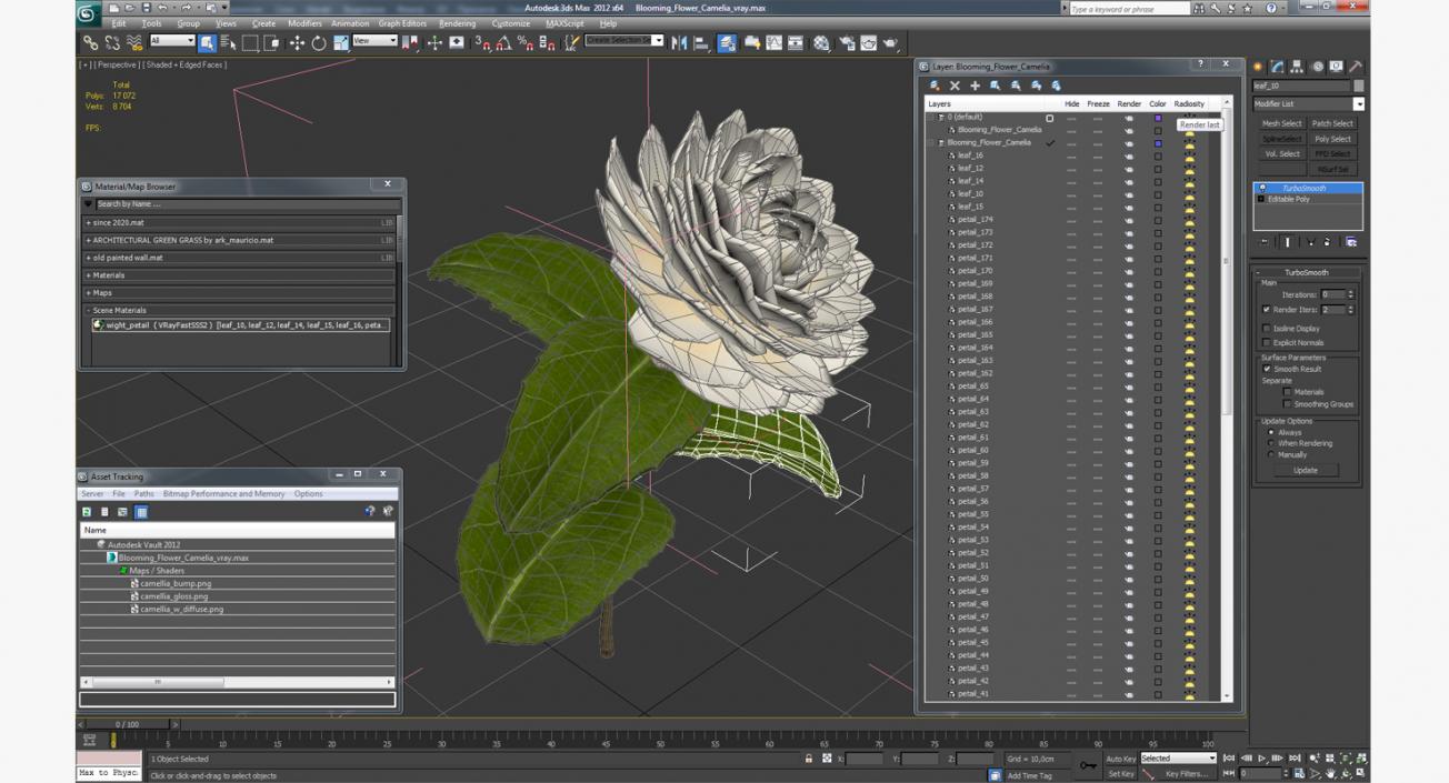 3D Blooming Flower Camelia model