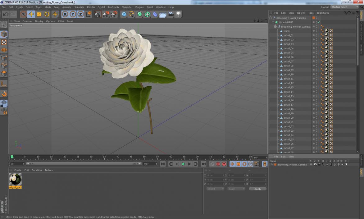 3D Blooming Flower Camelia model