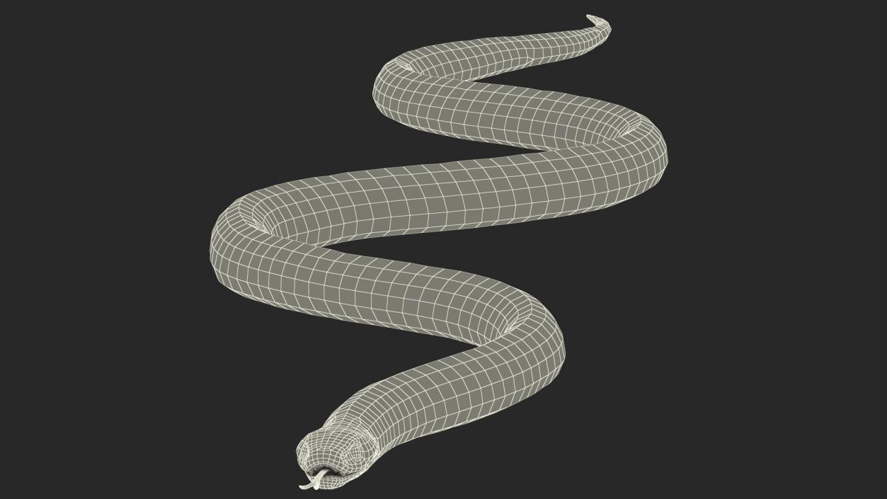 3D California Kingsnake Rigged for Maya