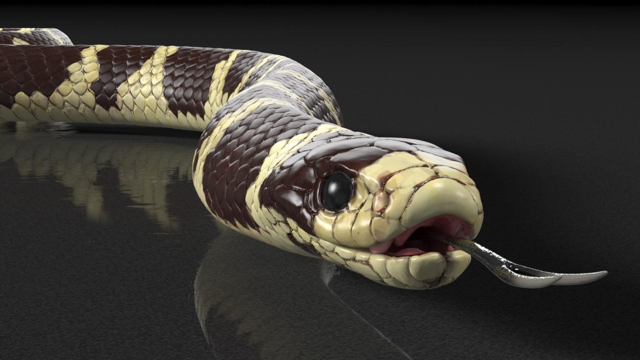 3D California Kingsnake Rigged for Maya