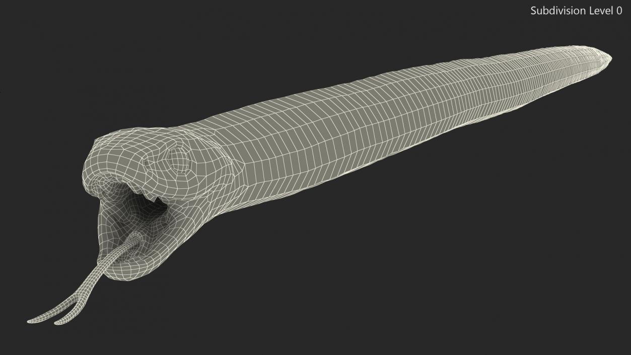 3D California Kingsnake Rigged for Maya